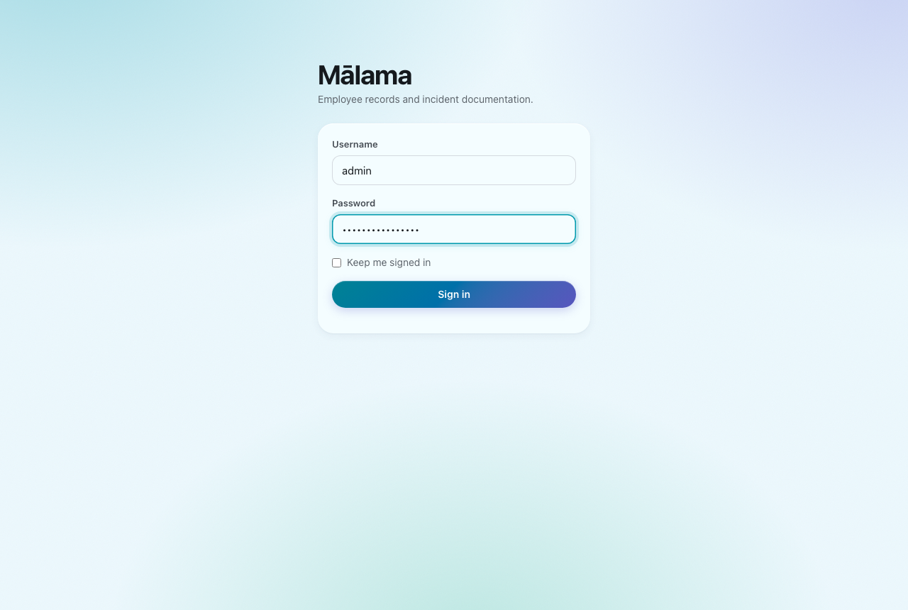 Filling in the form. The password is never shown.