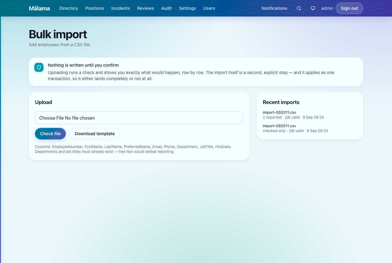 The import screen. Download the template to get the column headings right.